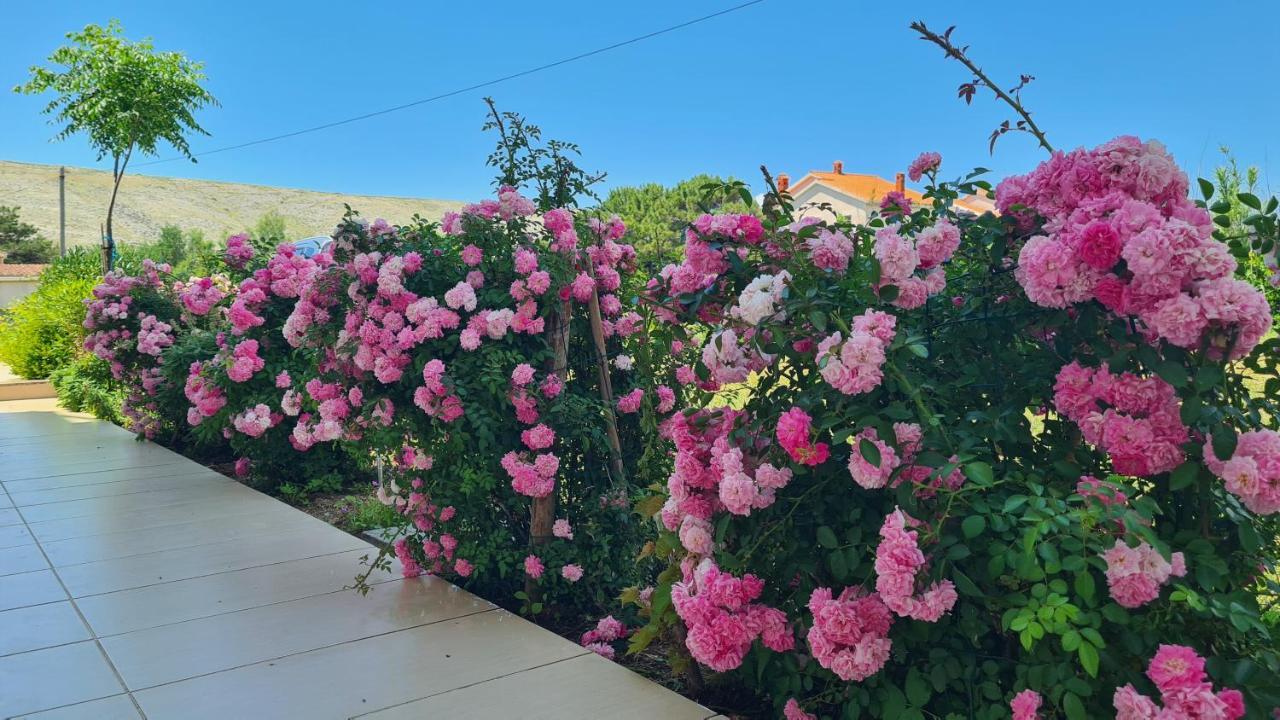 Vlašići Apartments Simurina מראה חיצוני תמונה